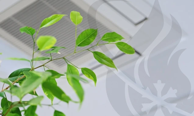 Indoor Air Quality