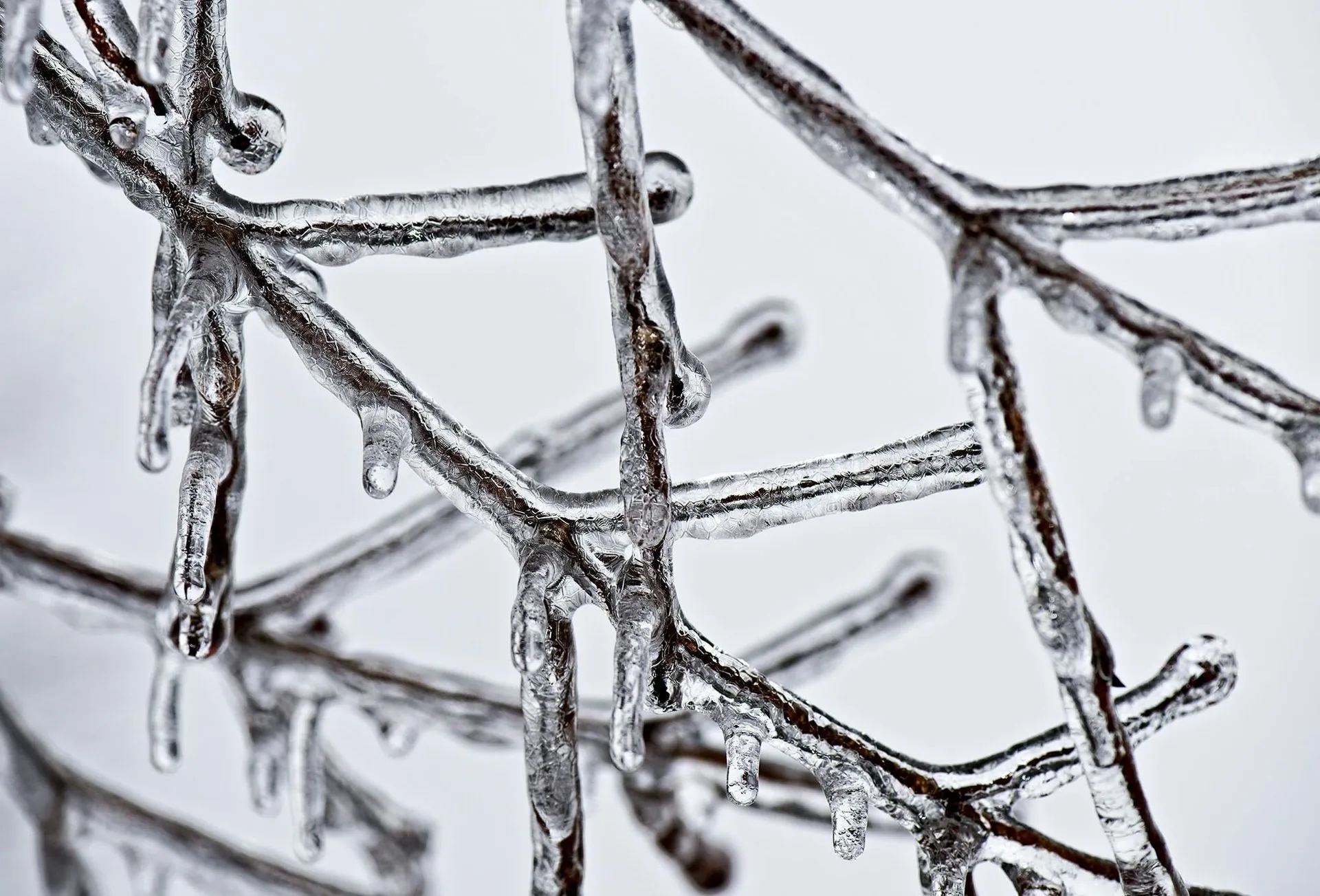 ice-winter-weather-cold-42266-1920w